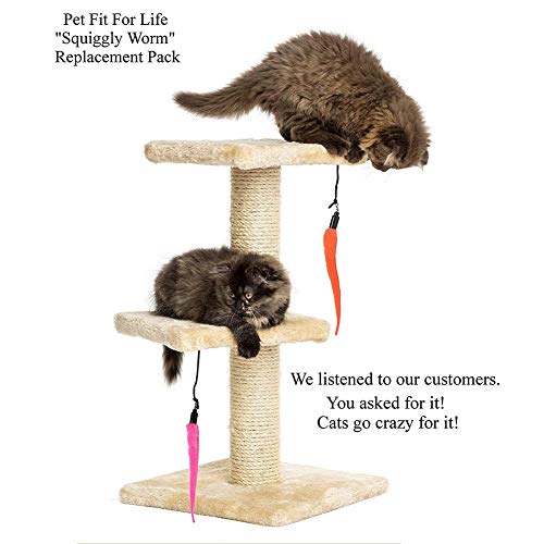 Brinquedos adequados para gatinhos brincarem com minhocas de reposição de 5 peças para gatinhos inte