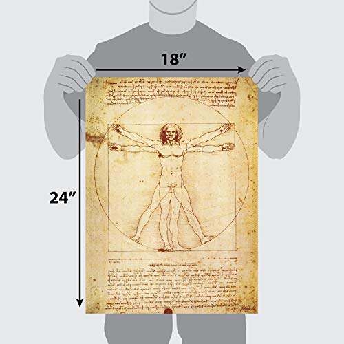 Palace Learning 2 Pack - Vitruvian Man by Leonardo Da Vinci + Vincent Van Gogh Skeleton Poster - Fin Art Prints (LAMINATED, 18" x 24")