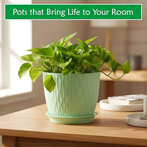Image of SWAPKART (Pack of 5 6 Inch Plastic Flower Pots for Indoor & Outdoor Terrace,Garden Plants Decorative Planters with Drainage Holes & Matching Saucers Durable & Lightweight (Multicolour)