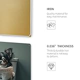 Zoom IMG-2 gfxezzlh chihuahua sulla toilette lettura