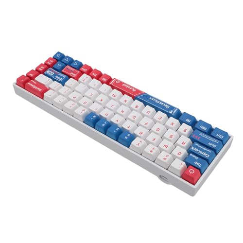 Clavier mécanique sans fil 68 touches RGB pour travailler sur iPad et MacBook