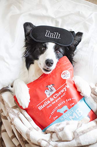 Stella & Chewy’s Freeze Dried Raw Dinner Patties – Grain Free Dog Food, Protein Rich Dandy Lamb Recipe – 14 Oz Bag #TOP7