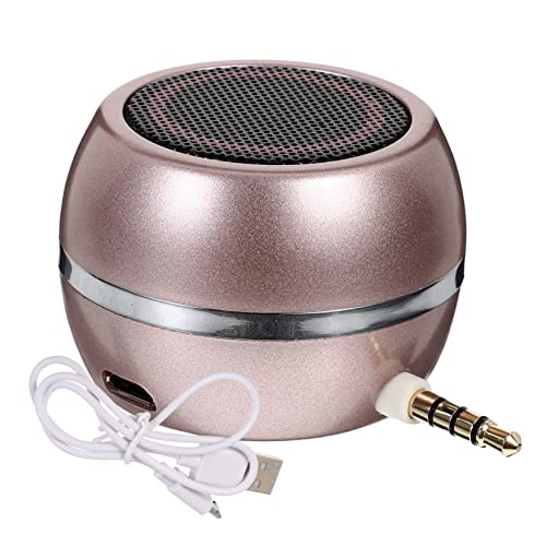 DOITOOL External Speaker with Aux Input USB Rechargeable Stylish Design for Desktop and Mobile Devices