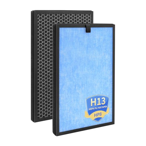 Filtres SimPure HP8 de rechange HEPA H13 et charbon actif lot de 2