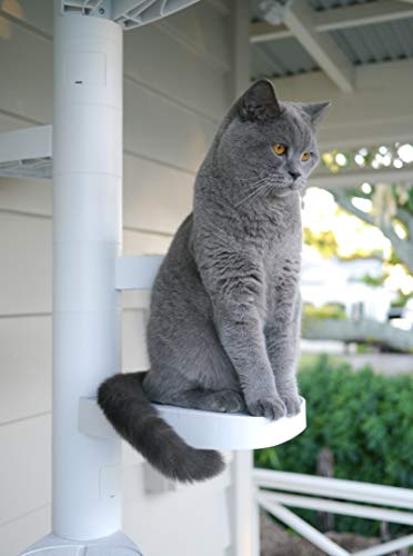 MONKEE TREE - Modular Cat Ladder for inside or outside 12 Trunk Starter Pack