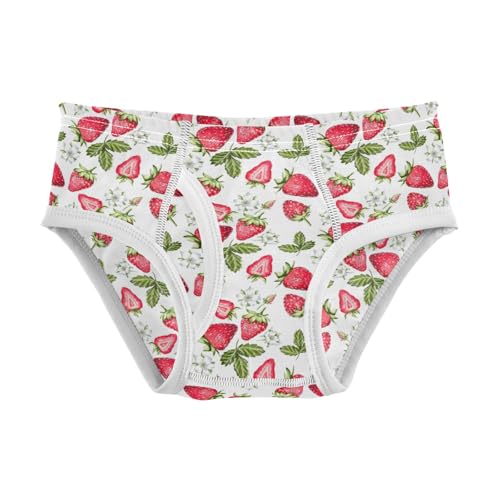 Boys' Exclusive Briefs Toddler Underwear 95% Combed Cotton Boxerbriefs 2T Strawberry Pattern 56