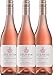 Produktbild VINELLO 3er Weinpaket Rosé - Pinotage Rosé 2020 - Delheim mit Weinausgießer | trockener Roséwein | südafrikanischer Sommerwein aus Coastal Region | 3 x 0,75 Liter