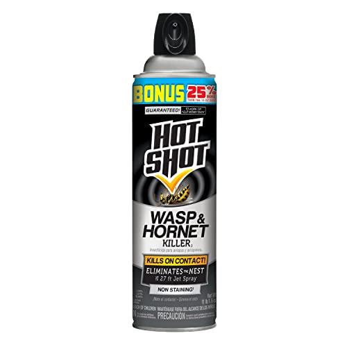 10 Best Spray To Kill Wasps Nest Picks And Buying Guide Guyana News