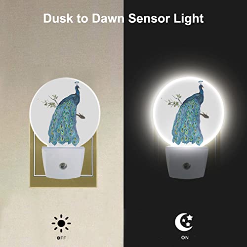 Image of EKOBLA Peacock Night Light, Watercolor Peacock Feather Teal Night Lights Plug Into Wall with Auto Sensor, 0.5W Sleep Friendly