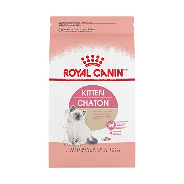 ROYAL CANIN Feline Health Nutrition Kitten Dry cat Food, 15-Pound by Royal Canin