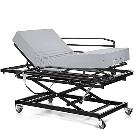 Ferlex - Cama articulada geriátrica con Carro Elevador y Colchón Sanitario Cover