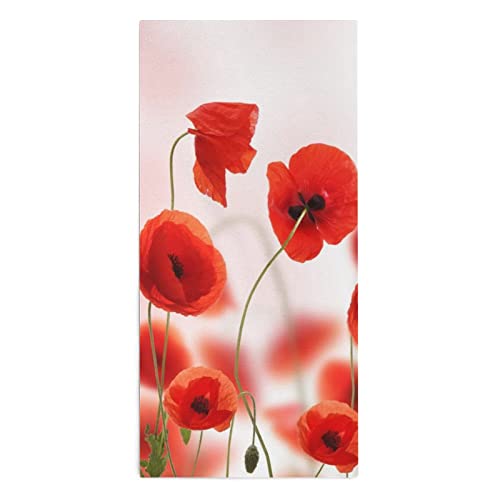 How to dry poppy heads How to dry poppy heads