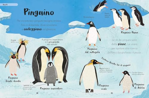 Animali. Storie Per Bambini Curiosi. Vieni A Conoscere Più Di 100 Dei Tuoi Animali Preferiti. Ediz. A Colori - 2