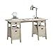 Sauder Trestle Office Desk with Drawers, Executive Desk Writing Desk with File Cabinet Storage and Shelves, Cable Management, in Chalked Chestnut