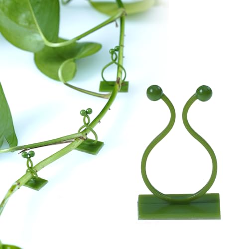 Lot de 100 clips de fixation pour plantes grimpantes, autocollants invisibles pour plantes grimpantes Lot de 100 clips de fixation pour plantes grimpantes, autocollants invisibles pour plantes grimpantes