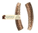 Silver Gate Antlers Antlers for Dogs - Elk Dog Chew 2 Pack - Medium 5 to 6 Inch Whole - USA All Natural Dog Chew Toys for Aggressive Chewers - Long Lasting!