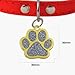 ibera gifts - Hundemarke mit Gravur - Personalisierte Hundemarke in Pfotenform für kleine und mittelgroße Haustiere - Hochwertiges legiertes Metall - Hundemarke personalisiert