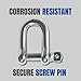 MarineNow 316 Stainless Steel D-Shackle Marine Grade Choose Size and Pack Quantity (10 mm (3/8