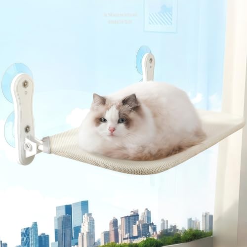 nt L nbN p ܂肽 zՕt h~ ETM̂ʂݐn+z ϖ ybgxbh p S݌v Lg ω׏d20kg \ O\ ʋC lGΉ ȃXy[X gȒP XgX  E