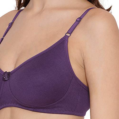 Image of Lyra Women's Non-Padded T-Shirt BRA-511 T-Shirt Bra 511 2PC Violet & Poppyred 36B