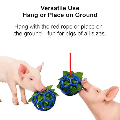 Image of 2Pcs Pig Enrichment Toys, Treat Ball Toy for Mini Pigs and Farm, Hanging Chew Ball Enrichment Toy with Rope for Pigs to Play with