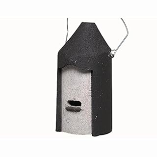 Erdtmanns Schwegler 134 Nichoir pour Chauve-Souris à Suspendre, en béton de Bois