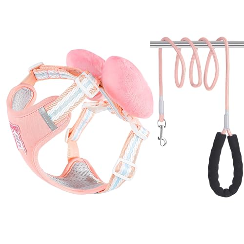  n[lX [hZbg  {t pn[lX EFAn[lX ʋCbV ȒP  Lp U op (sN, M)