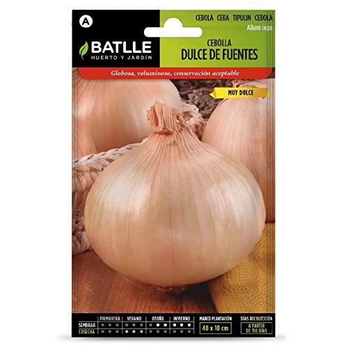 SEMILLAS CEBOLLA DULCE DE FUENTES