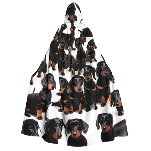 Cape de teckel EdWal costume d'Halloween pour animal domestique