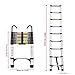 LumaTide Folding Ladder with Tool Hook, Multi Use Step Ladder for Home and Work (Small)