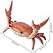 Japanese Cute Crab Pen Holder Weightlifting Crab Pen Holder Storage Rack Gift Stationery Handy and Professional