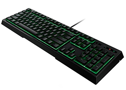 Preisvergleich Produktbild Razer Ornata (FR Layout)