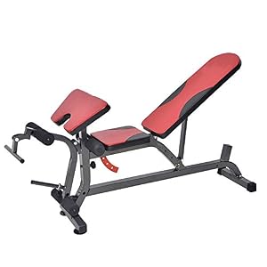 Gyl Verstelbare halterbank, 4 hoogteposities, 400 kg, draagkussens voor full-body training en thuis, kan worden gekanteld of gekanteld