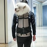 Hundeträger -Rucksack - Mit Großer Kapazität, Anti -Haar -Prise Pack | Multifunktionales Wanderabenteuerdesign Im Freien, Entkommen Beständiger Rucksack Für Große Hunde, Das Gehen Camping Ver