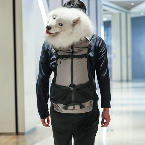 Hundeträger -Rucksack - Mit Großer Kapazität, Anti -Haar -Prise Pack | Multifunktionales Wanderabenteuerdesign Im Freien, Entkommen Beständiger Rucksack Für Große Hunde, Das Gehen Camping Ver