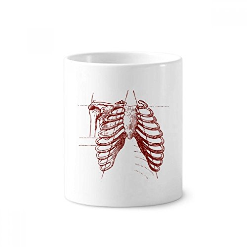 Pot à brosse à dents squelette rib humaine et tasse céramique blanche