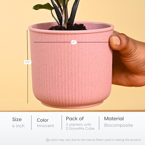 Image of Eha Earth Friendly Statement Pot 4 Inch Pots and Planters with Growmix |Set of 2| Table Top Planters for Gifting | Bamboo Based | Planter for Indoor & Balcony Window Flower Pots|Innocent