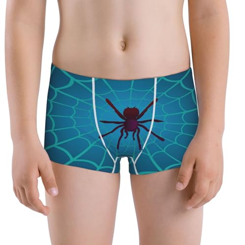 Boys' Cotton Boxer Brief Soft Underwear-Spider And Cobweb