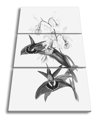 Tableau orchidées et colibris triptyque moderne XXL cadre bois de salon