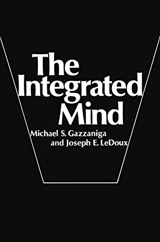 The Integrated Mind view 2