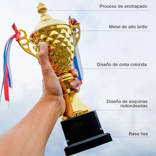 Reviews de Trofeos , listamos los 10 mejores. 12 Imagen adicional