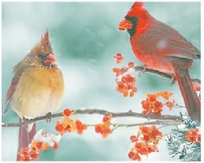 Springbok Cardinal Couple 1000 Piece Jigsaw Puzzle
