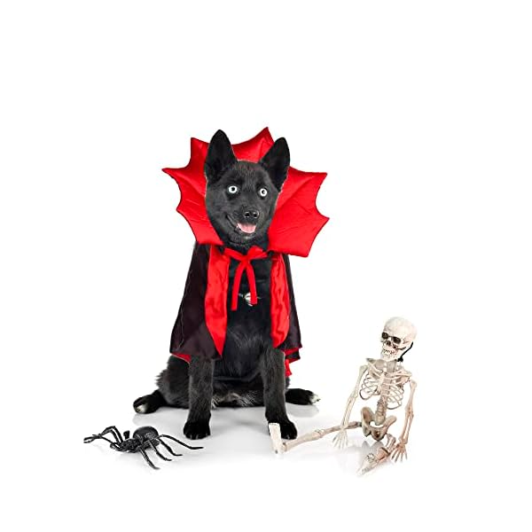 Adoggygo halloween dog costume dog vampire devil costume dog halloween cloak cape red black halloween costumes for small medium large dogs - image 4