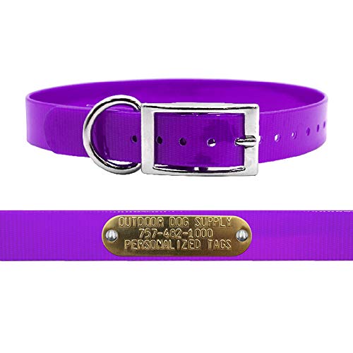 1" Wide Solid D-Ring Dog Collar Strap - Perfect for Outdoor Adventures by Outdoor Dog Supply