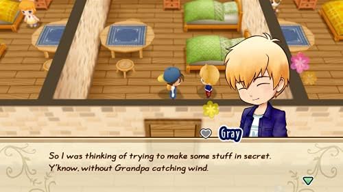 Story of Seasons: Friends of Mineral Town(輸入版:北米)- PS4