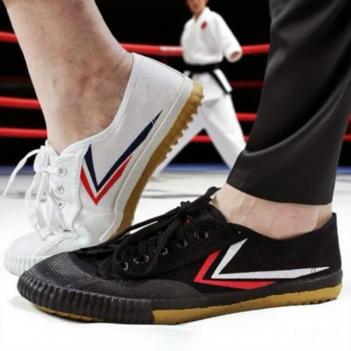 TOP ONE Original Kung Fu Martial Arts Rubber Sole Shoes, Shaolin Monks Design4