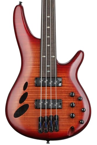 Amazon | Ibanez/WORK SHOP SERIES SRD900F-BTL (Brown Topaz