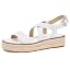 Optic White 1