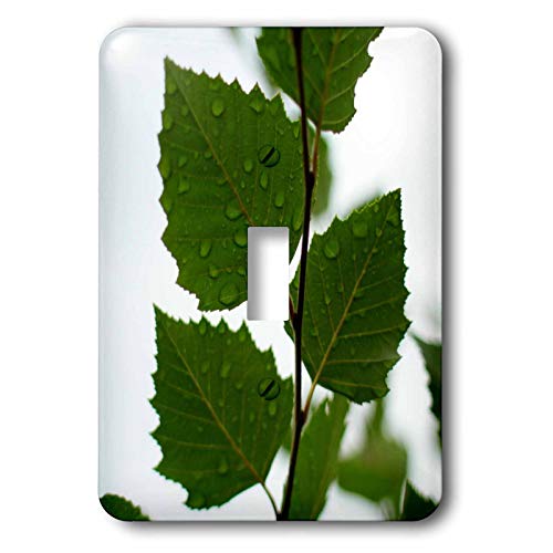Interrupteur à baïonnette imprimé silhouette feuilles vertes 3dRose - 2