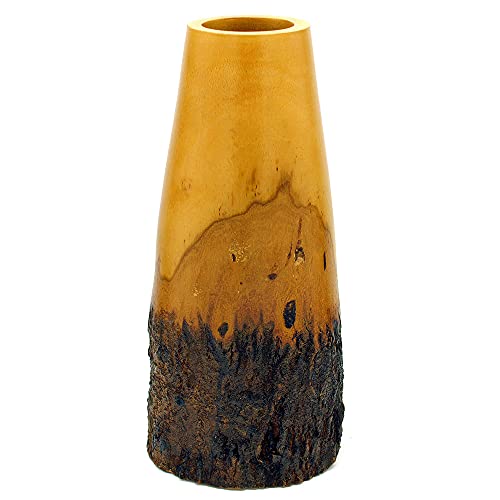 Gedeko Holzvase mit Rinde ca. 30 cm hoch, Mangoholz lackiert Hellbraun (Schlanke Vase) Cover